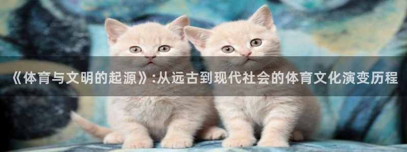 v体育下载