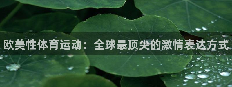 V体育首页登录入口
