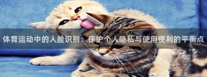 v体育合法吗：体育运动中的人脸识别：保护个人隐私与使用便利的平衡点