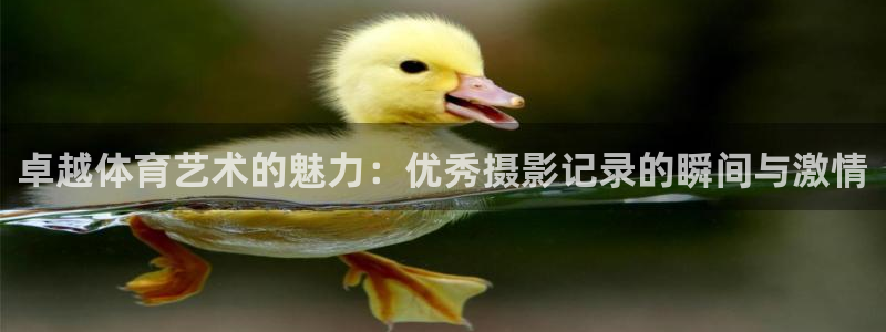 v体育官方下载入口：卓越体育艺术的魅力：优秀摄影记录的瞬间与激情