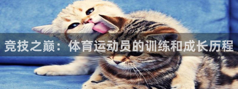 v体育官方下载入口