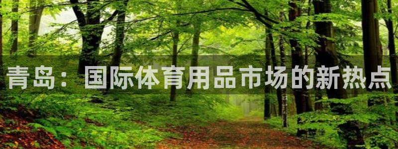 v体育下载