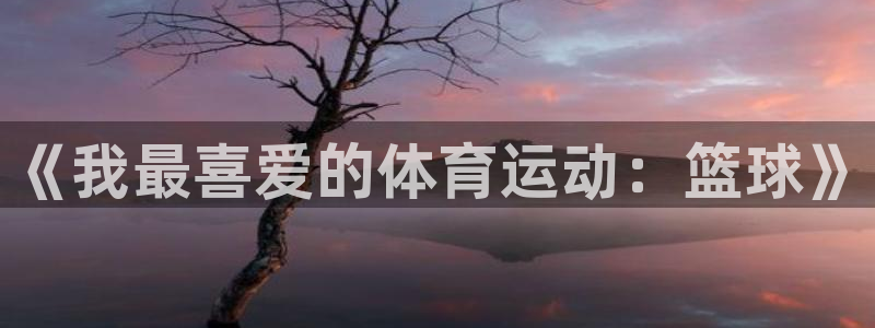 v体育官网app