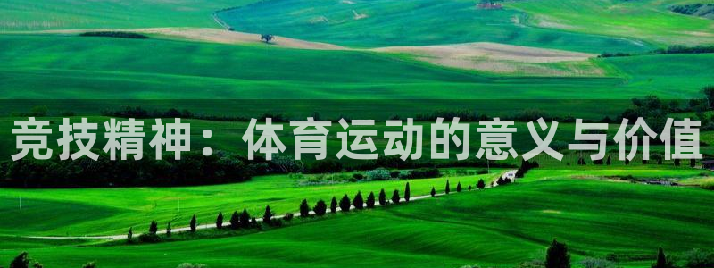 v体育app登录入口：竞技精神：体育运动的意义与价值
