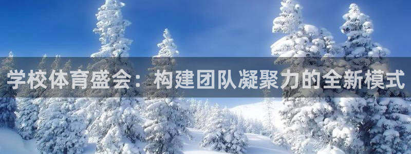 rrtv体育：学校体育盛会：构建团队凝聚力的全新模式