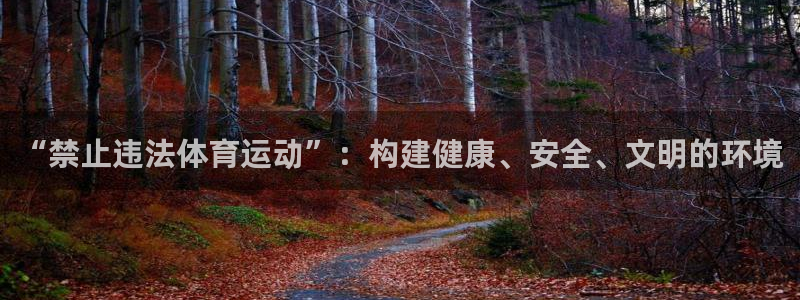 v体育下载：“禁止违法体育运动”：构建健康、安全、文明的环境